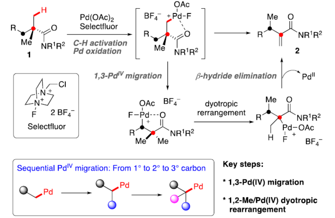 1723597039916299.png 圖片1.png