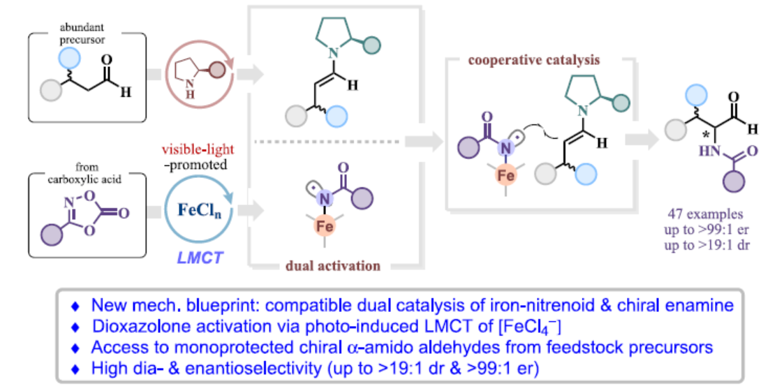 1723598830731819.png 圖片1.png