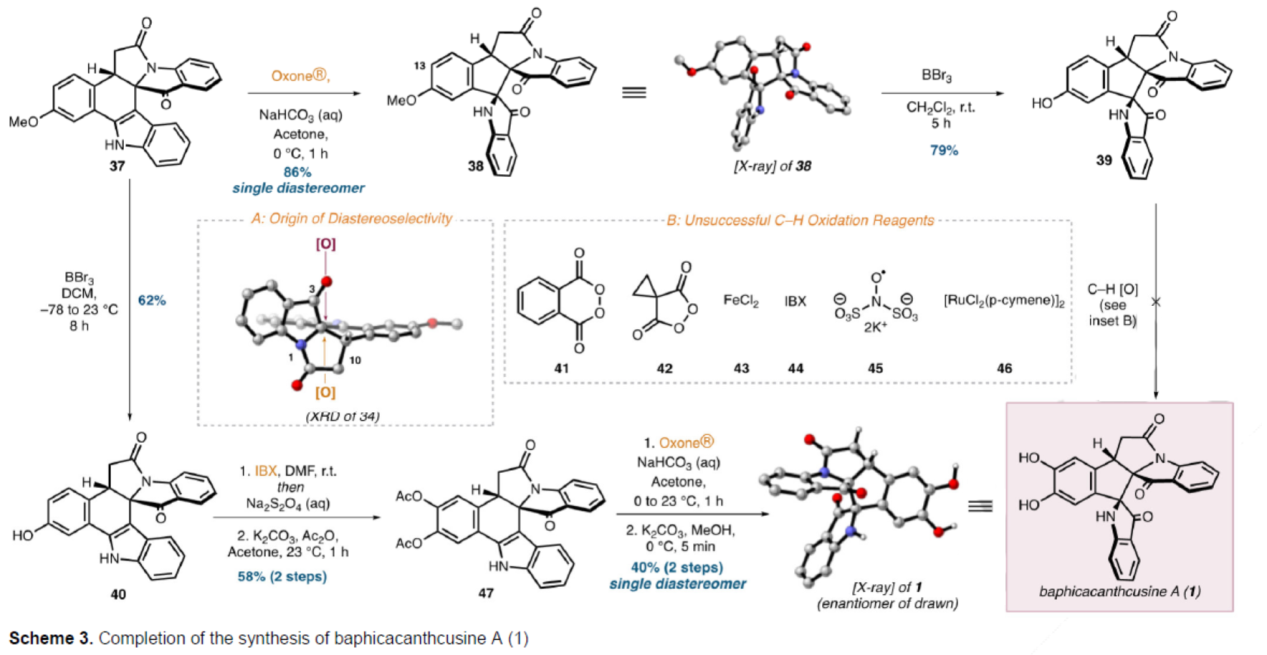 1723715059416615.png 圖片6.png