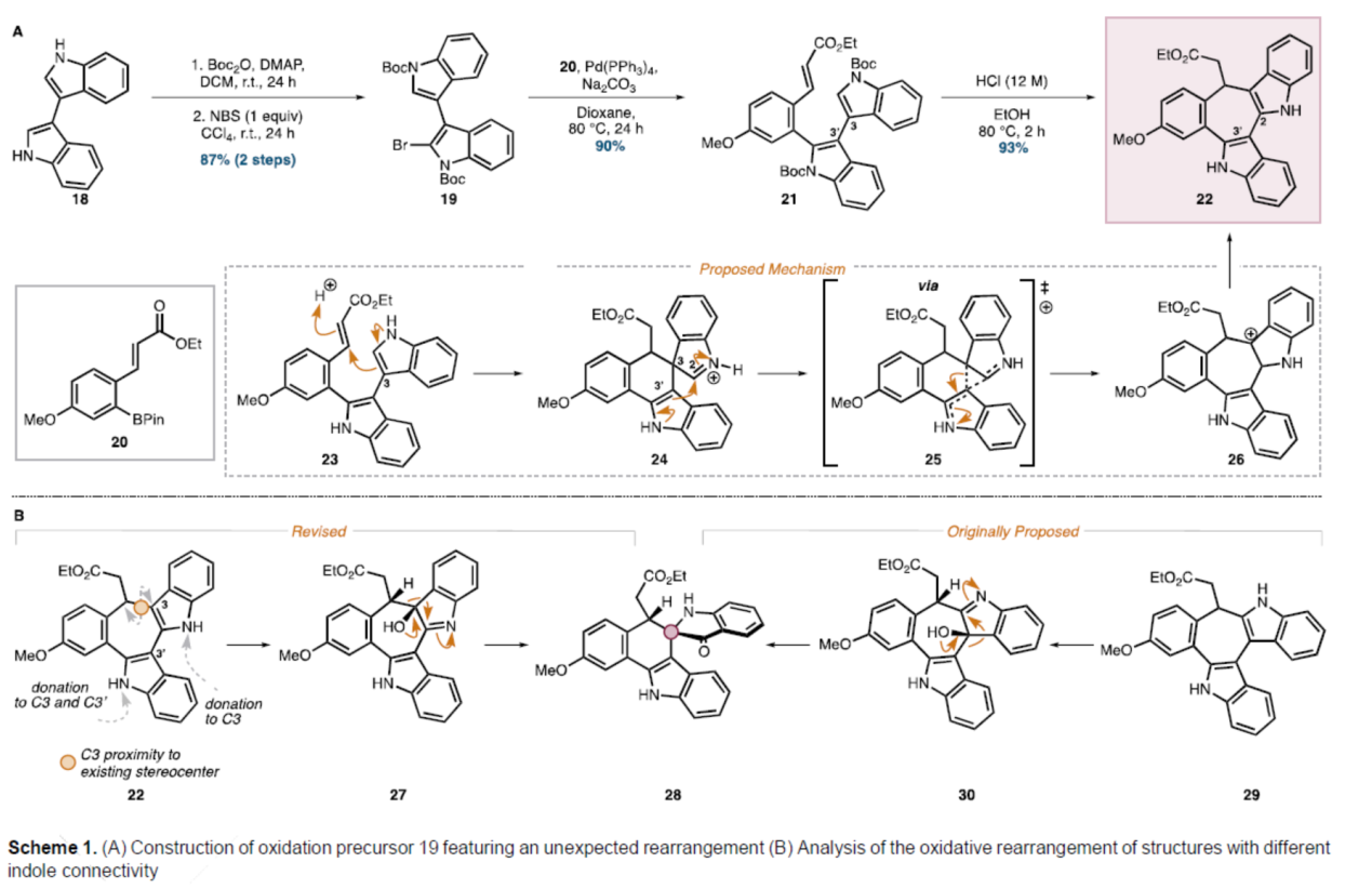1723715066589280.png 圖片4.png
