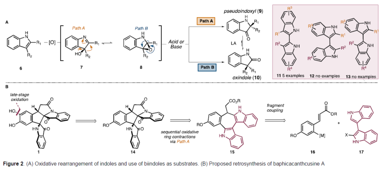 1723715072634094.png 圖片3.png