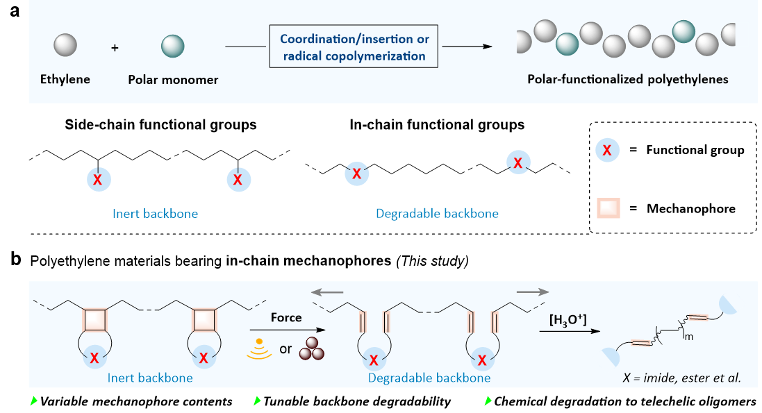 1724227471651651.png 圖片1.png