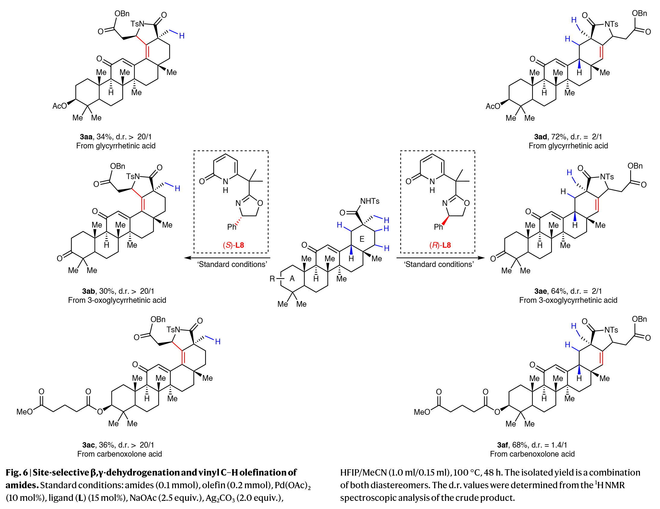 1724316230285301.jpg 7.jpg
