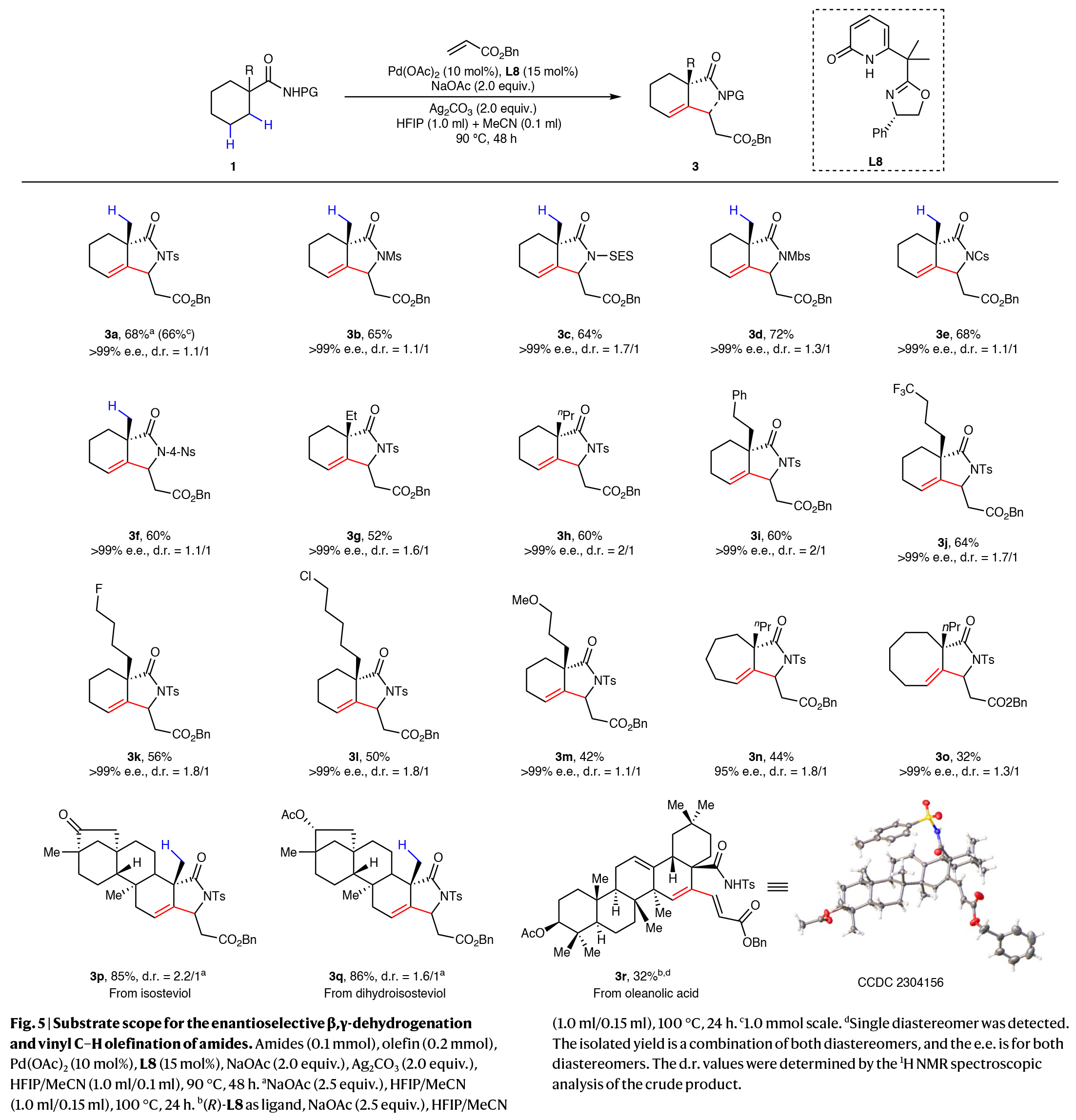 1724316236683210.jpg 6.jpg