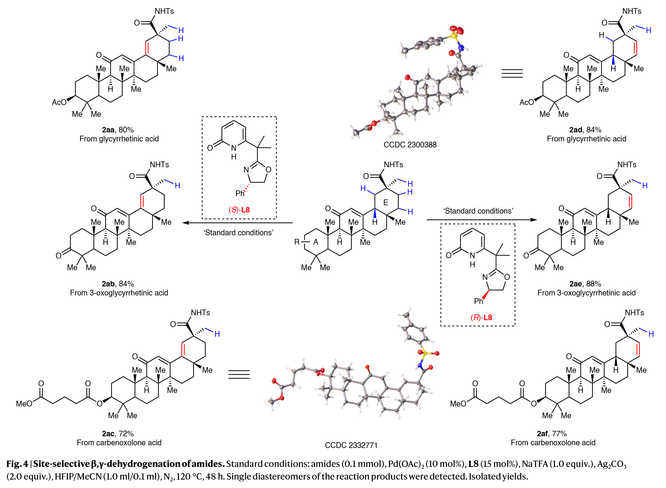 1724316243481733.jpg 5.jpg