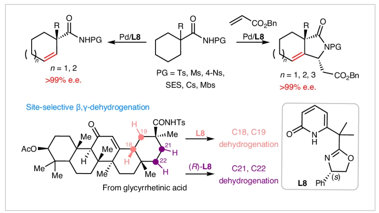 1724316259105623.png 1.png