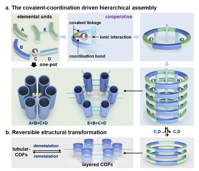 1724825810483503.png image.png