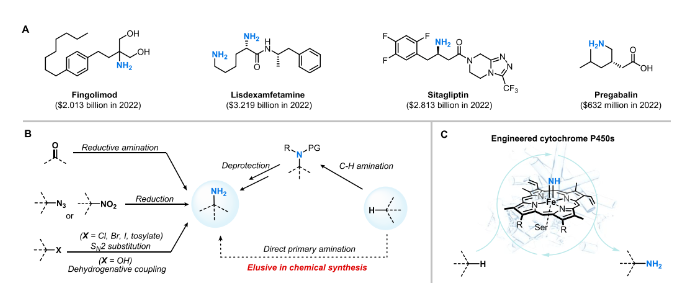 1725247788821605.png image.png