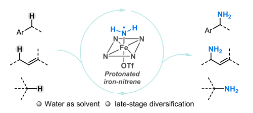 1725247794371246.png image.png