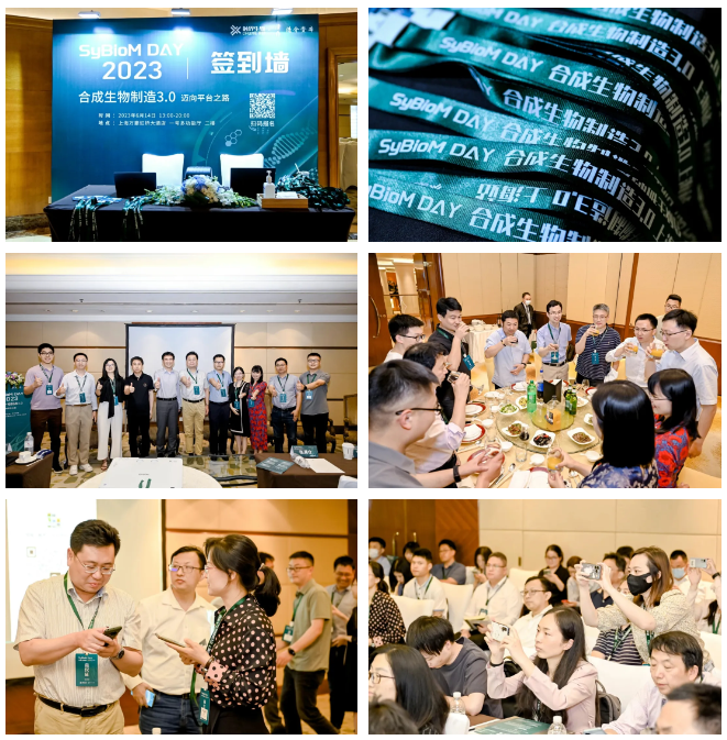 1726040602541115.png image.png