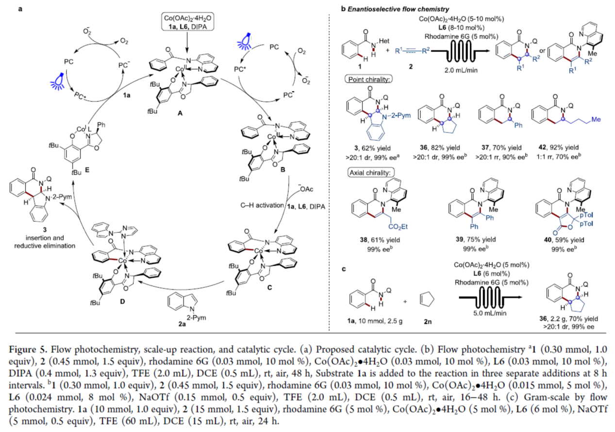 1726108247616533.png 圖片6.png
