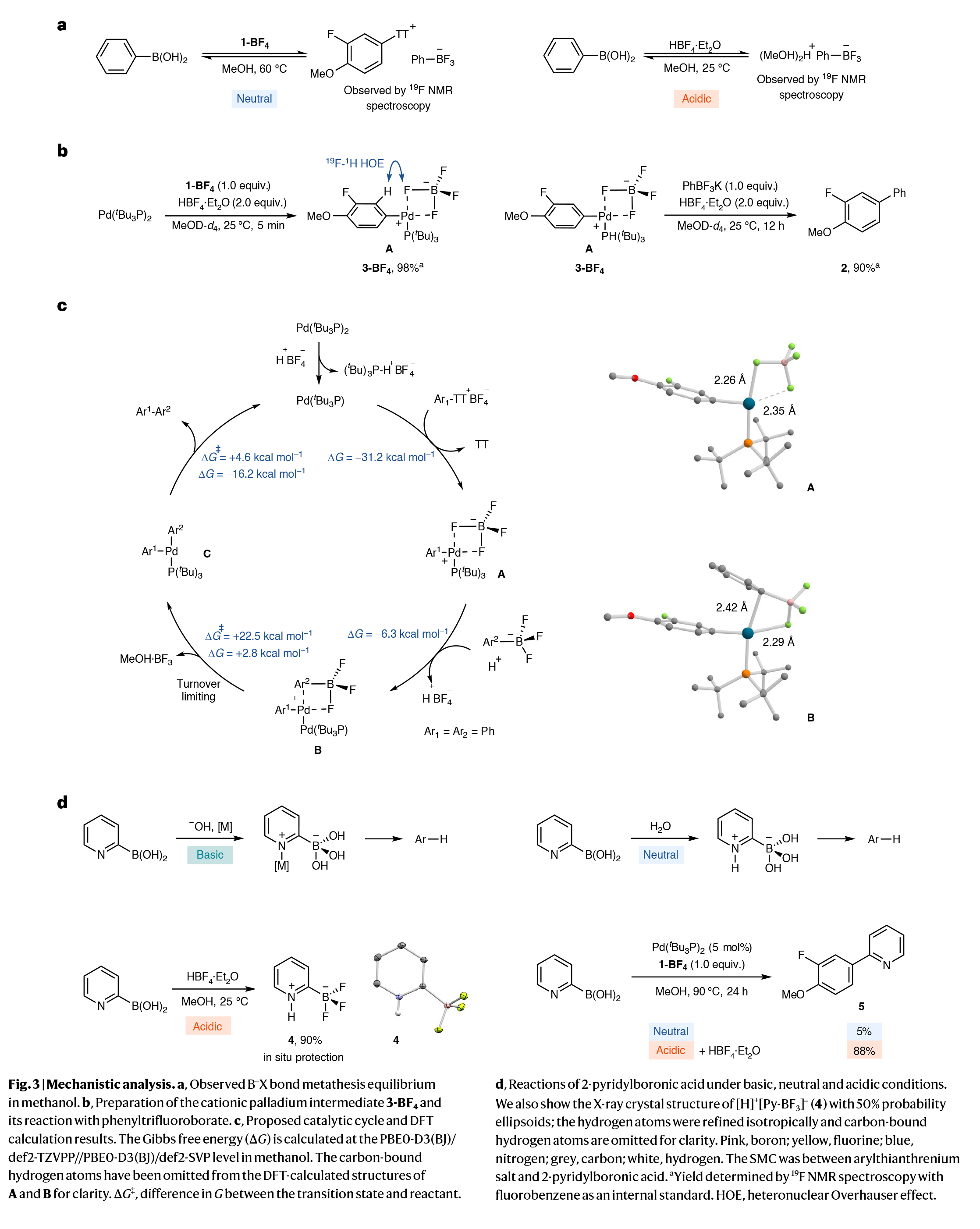 1726111655701071.jpg 4.jpg