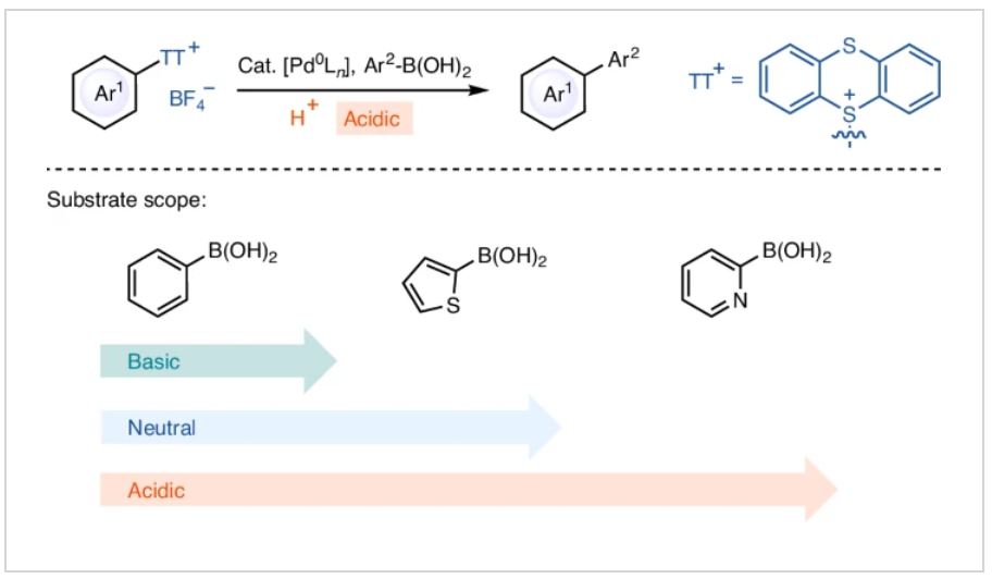 1726111664292759.png 1.png