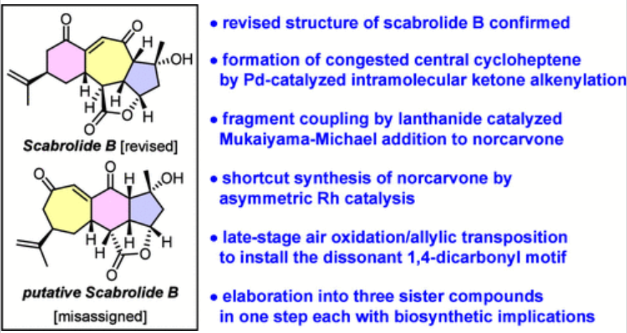 1726627094255437.png 圖片1.png