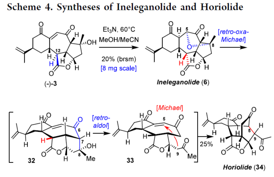 1726627107737413.png 圖片8.png