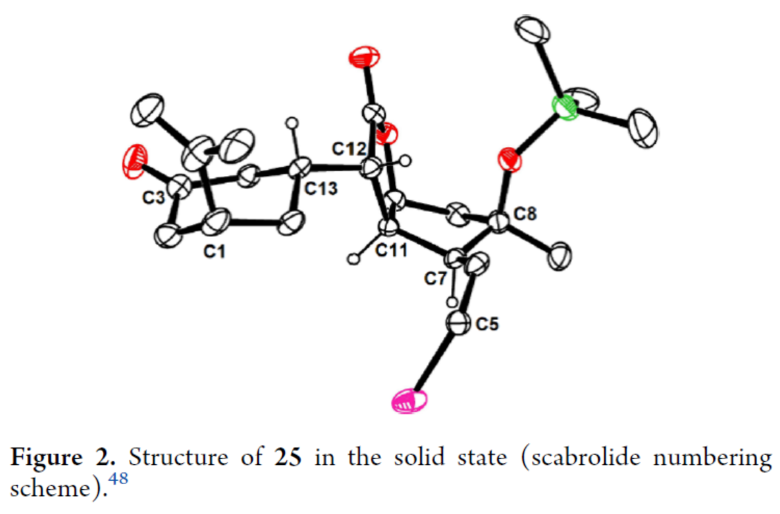 1726627115843056.png 圖片6.png