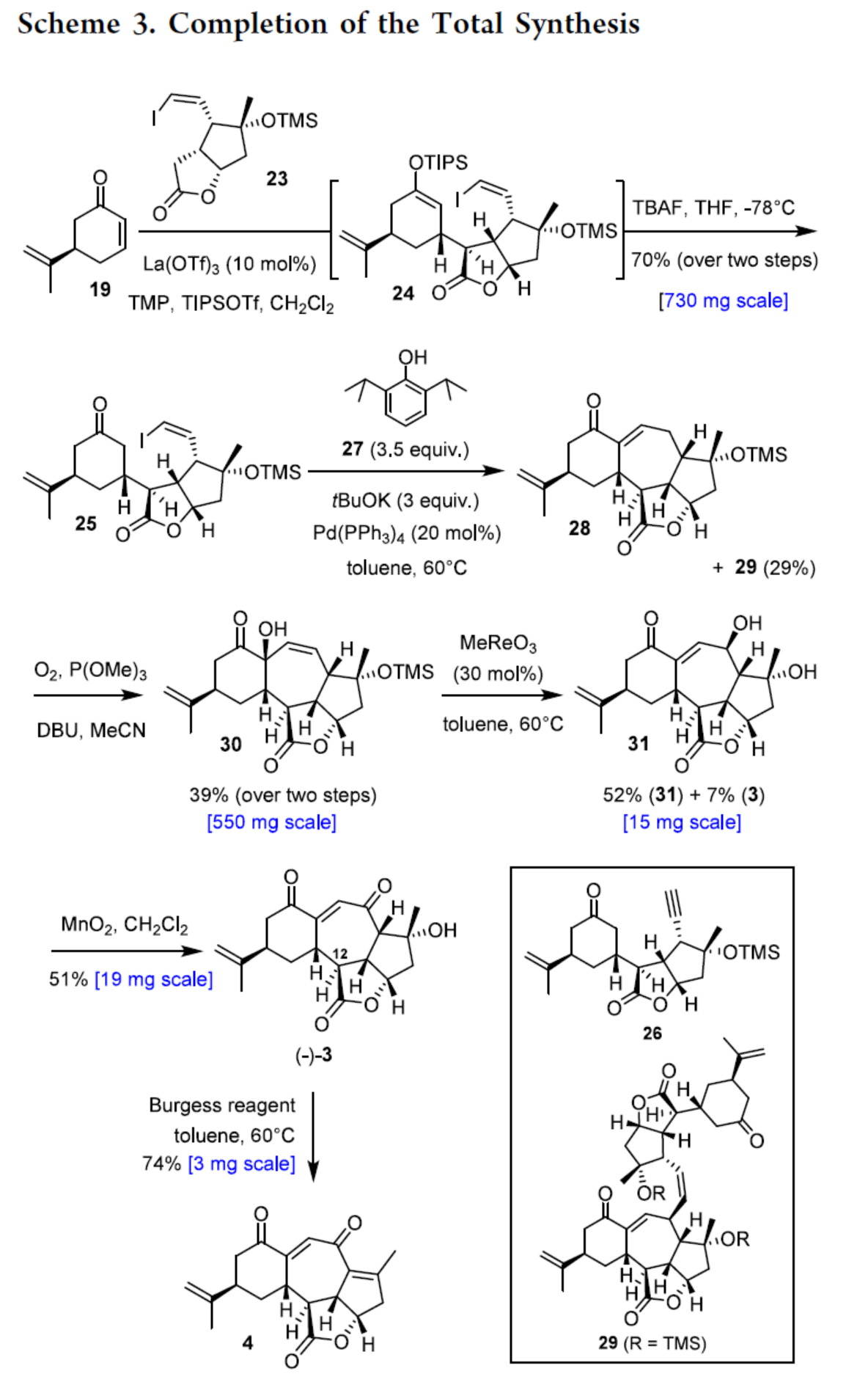1726627118107289.png 圖片5.png