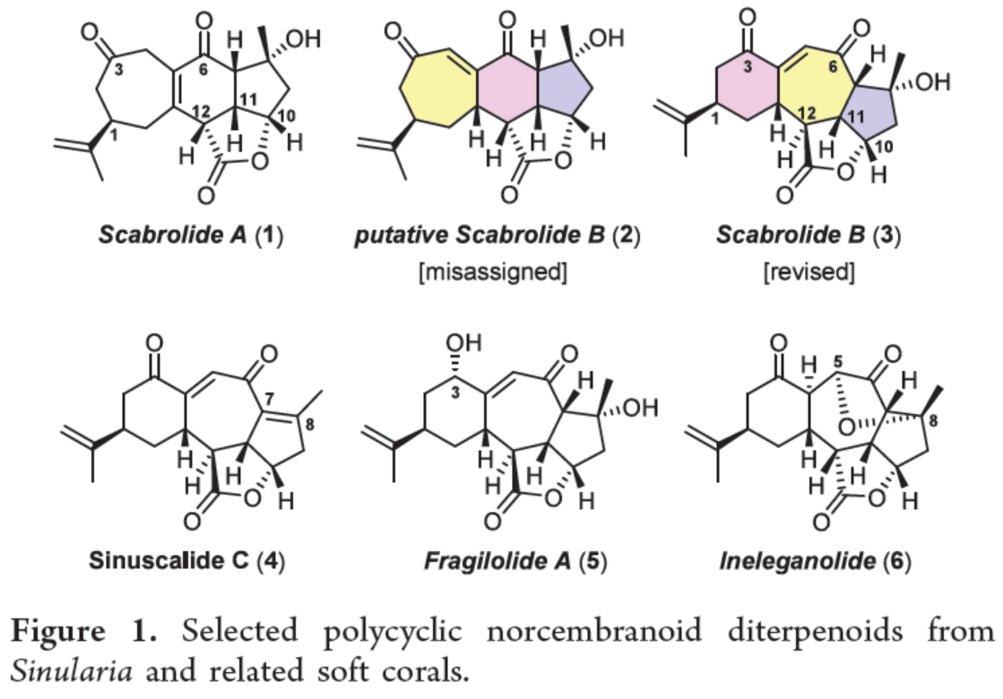 1726627131253432.png 圖片2.png