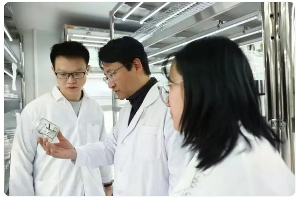 1729499108836407.png 2.png