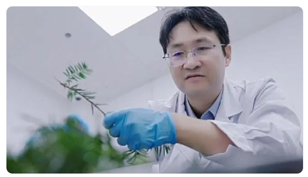 1729499122837149.png 3.png