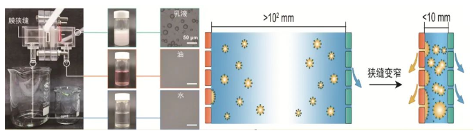 1731048381283523.png image.png