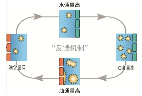 1731048692588304.png image.png