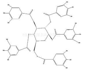 1732871910828706.png image.png