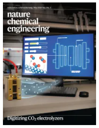 1733465043355667.png image.png