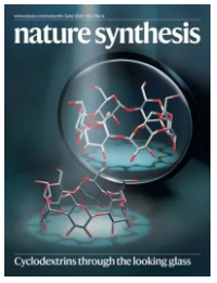 1733465100671333.png image.png