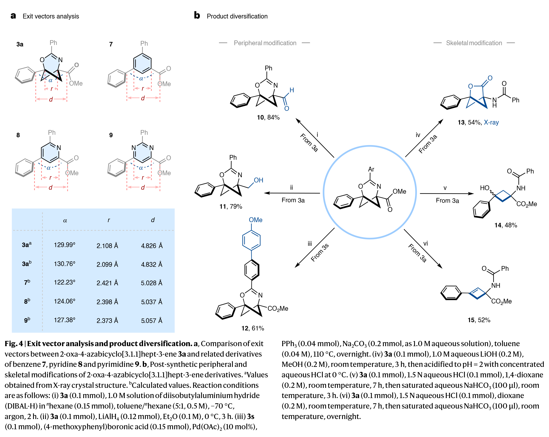 1733468158119981.jpg 5.jpg