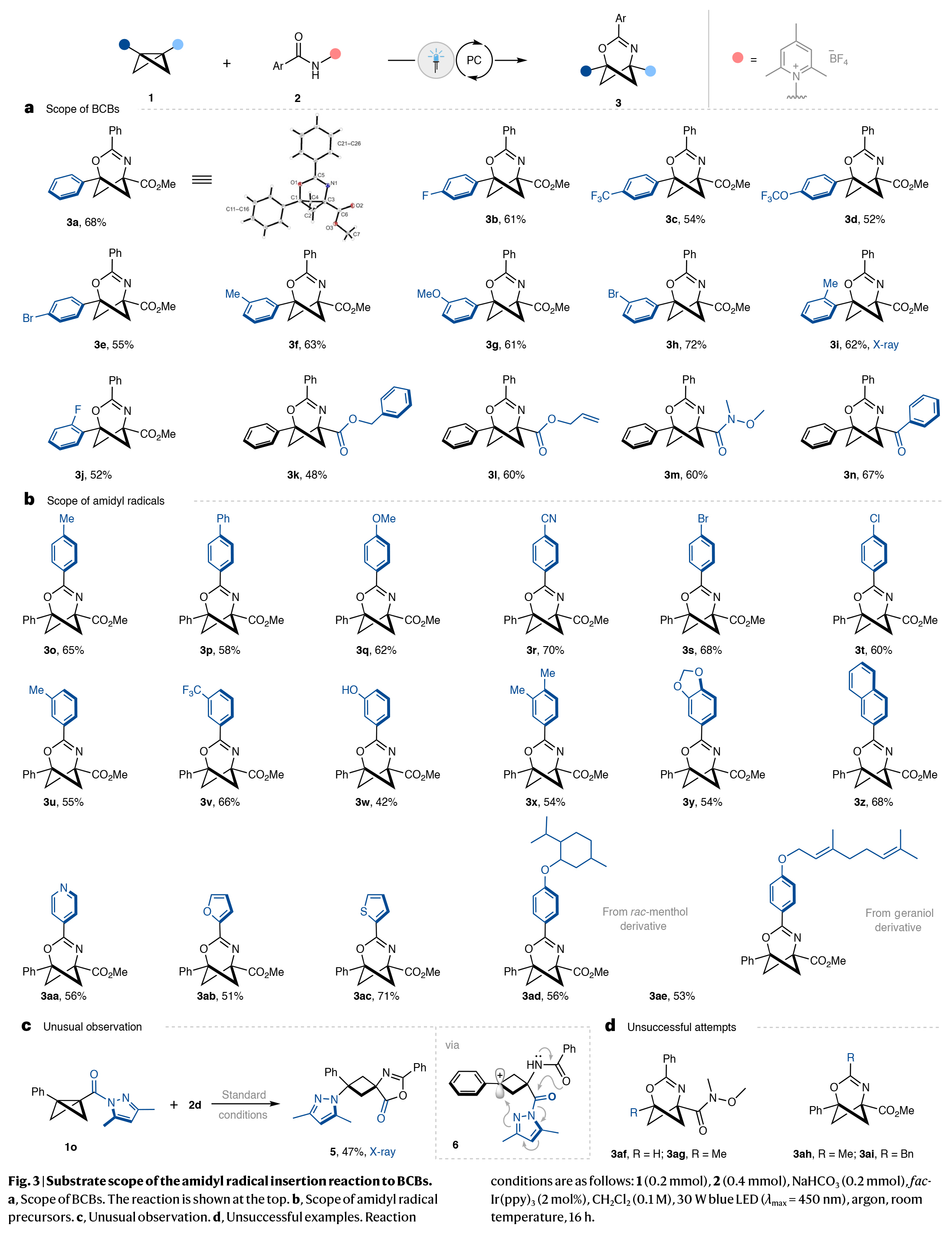 1733468161653203.jpg 4.jpg