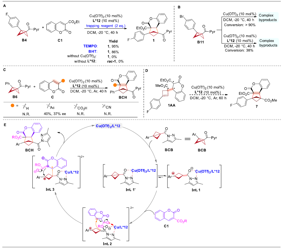 1733808580410193.png 圖片11.png