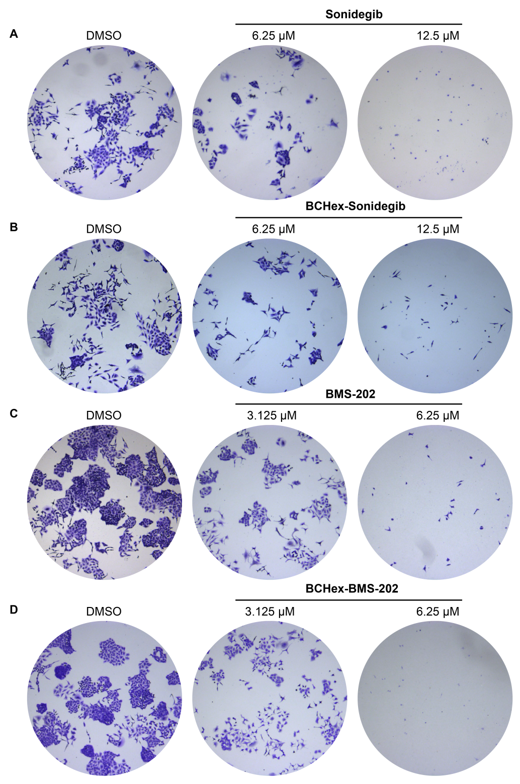 1733808584119782.png 圖片10.png