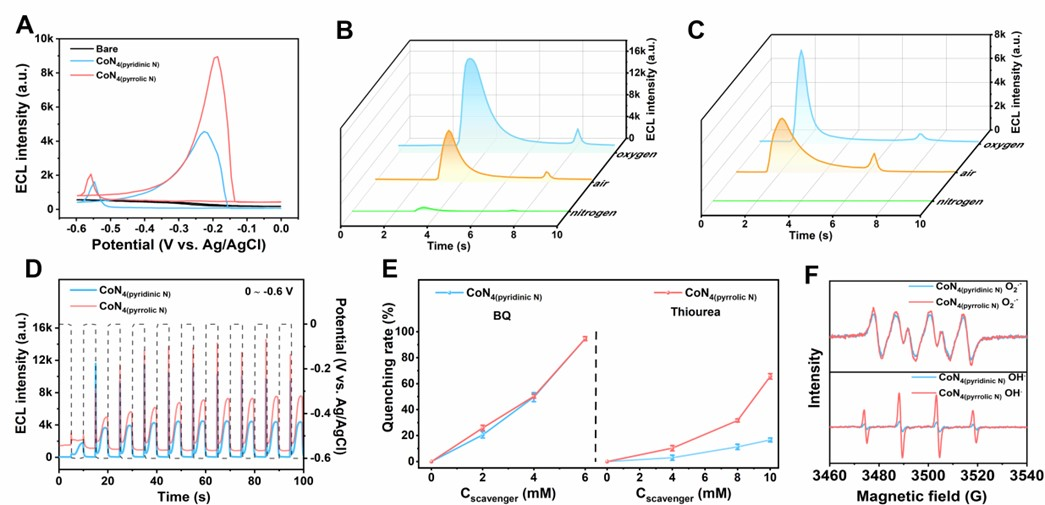 1734425544809027.png 圖片5.png