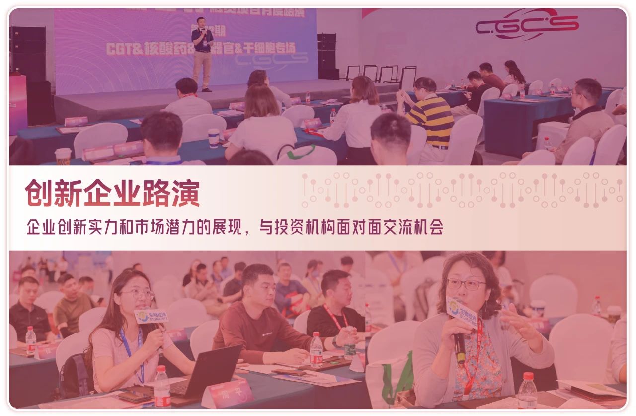 1739512893302881.jpg 12.jpg