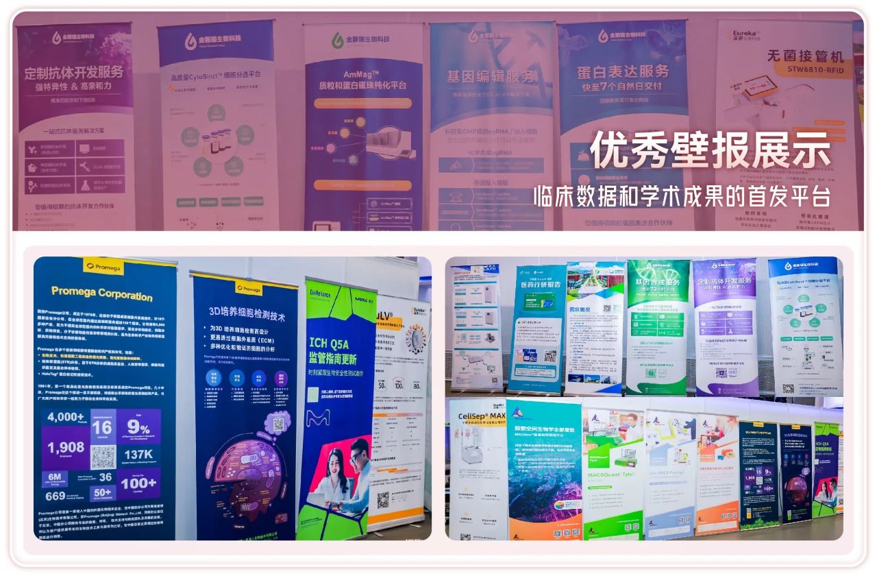 1739512905969095.jpg 13.jpg