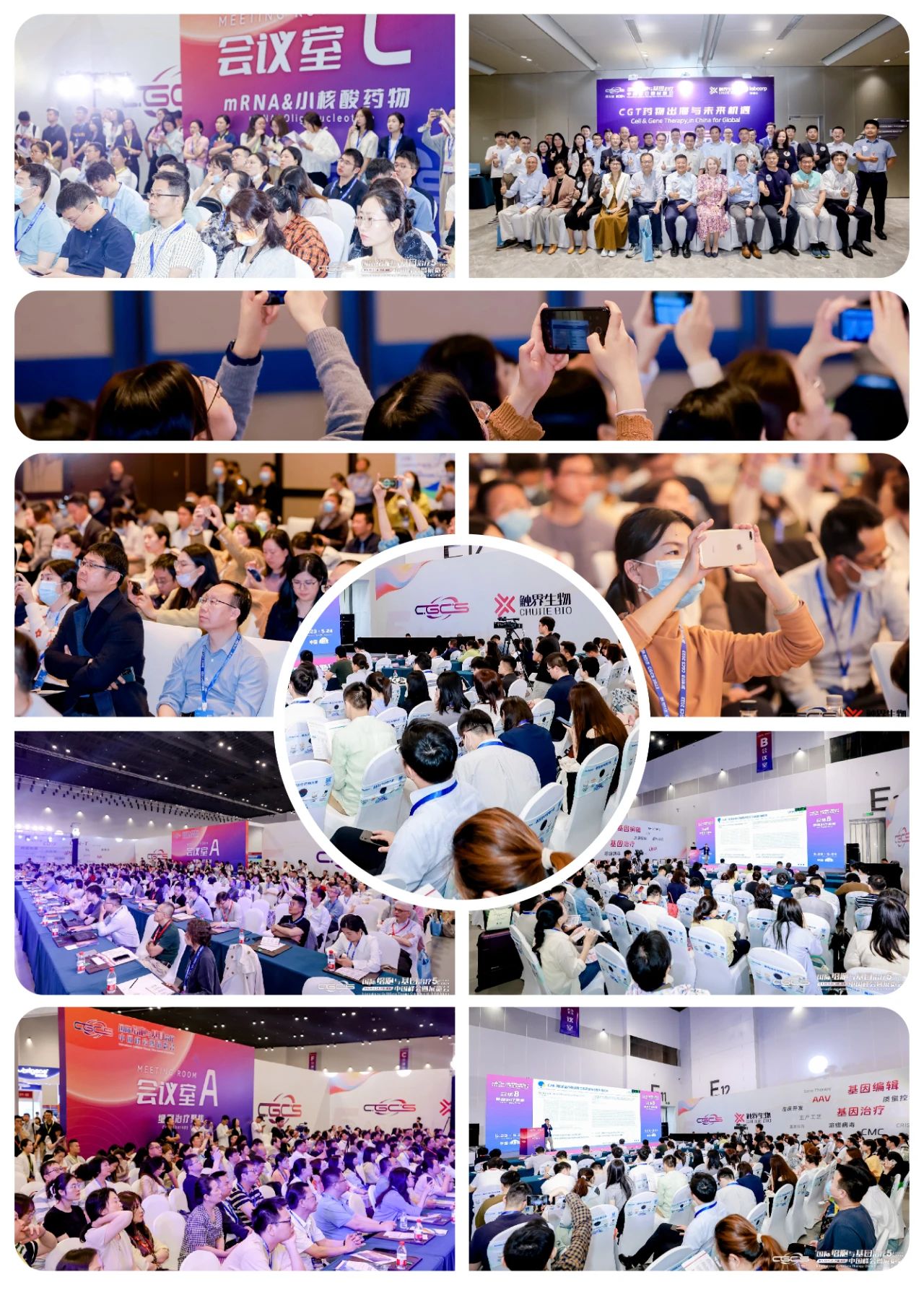 1739512947721173.jpg 19.jpg