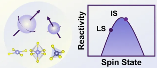 1739848008264001.png image.png