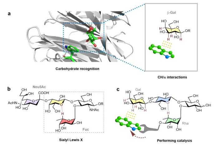 1741166935458869.png image.png