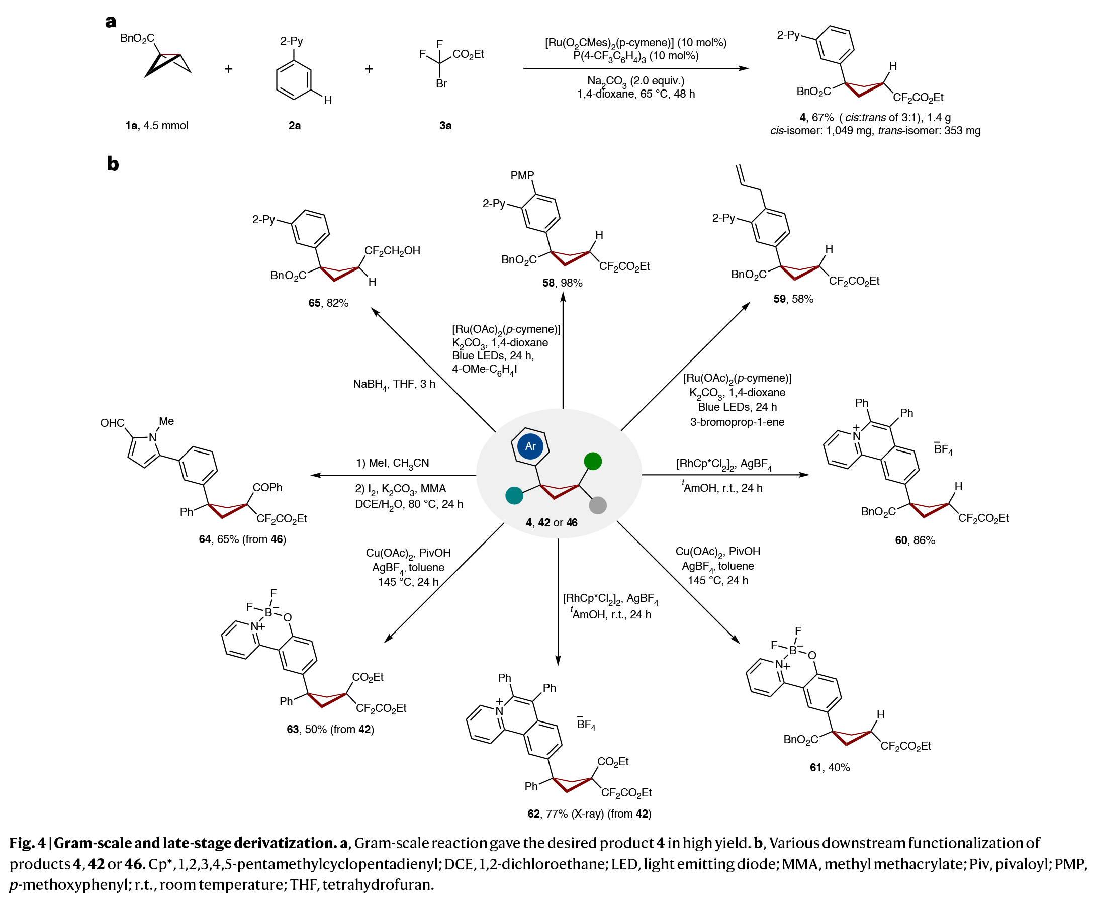 1741673817502479.jpg 6.jpg
