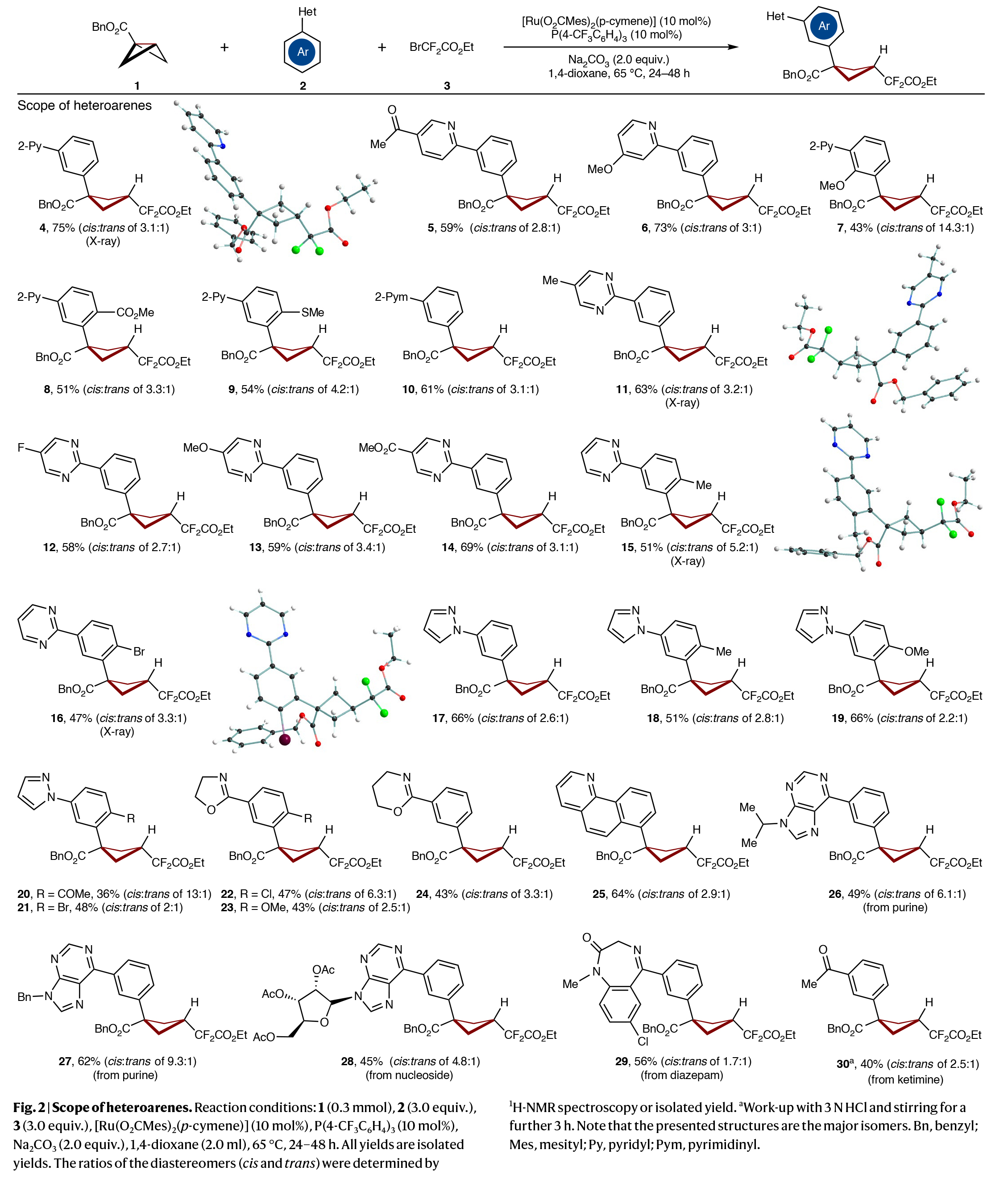 1741673832161986.jpg 4.jpg