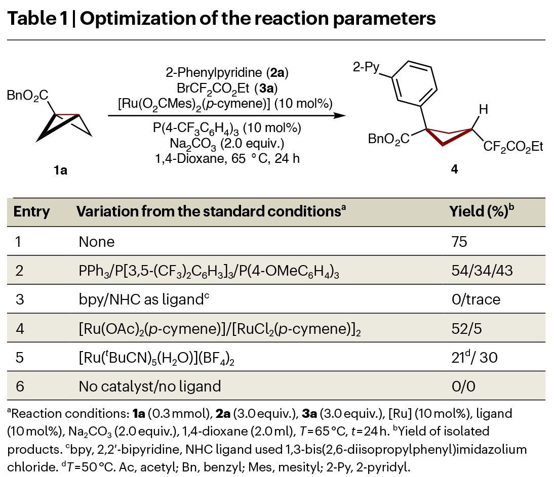 1741673839422765.jpg 3.jpg