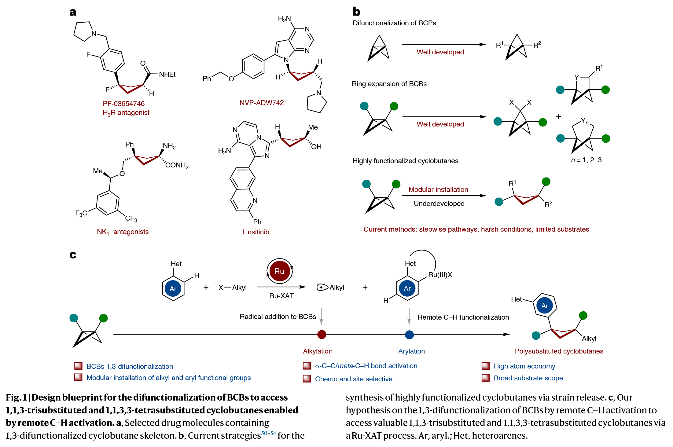 1741673845289979.jpg 2.jpg