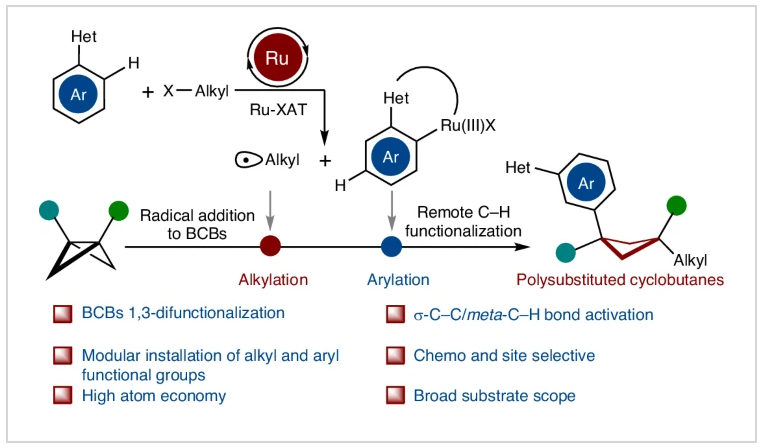 1741673849137842.png 1.png