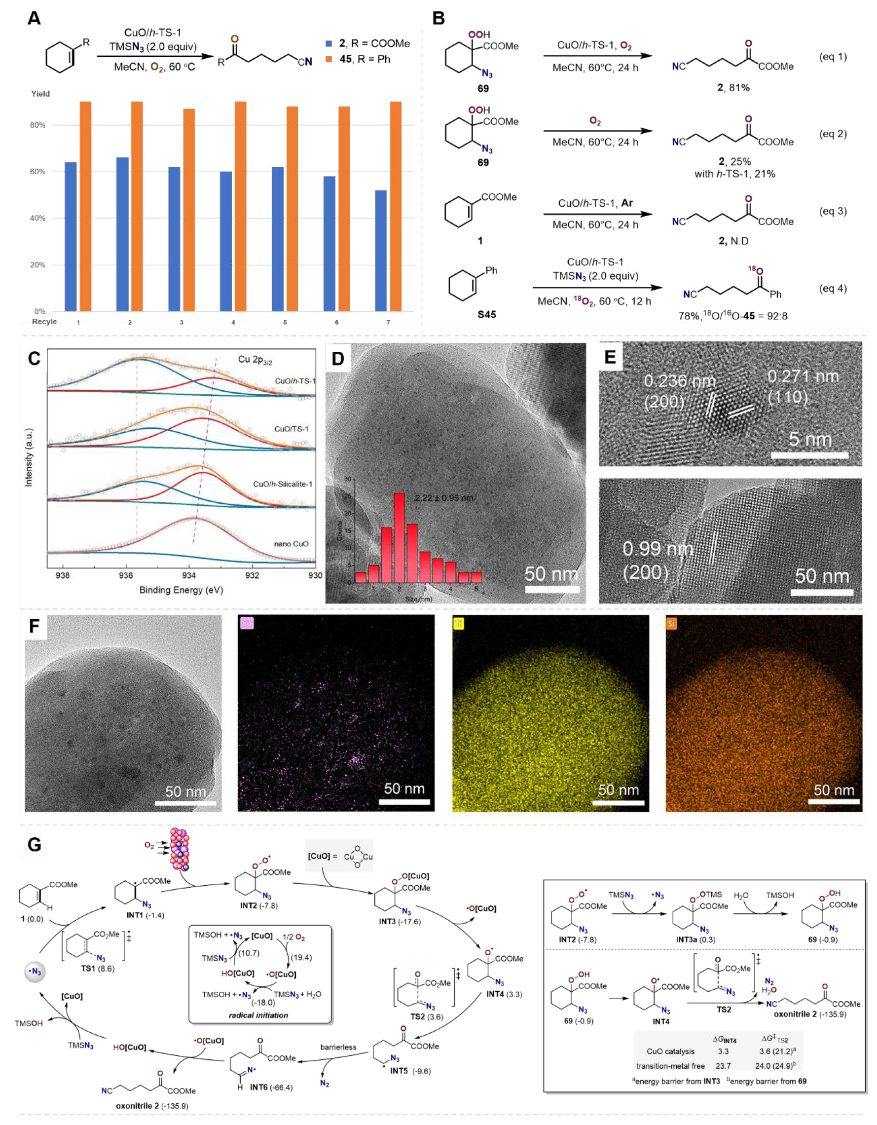 1741676039773907.jpg 5.jpg