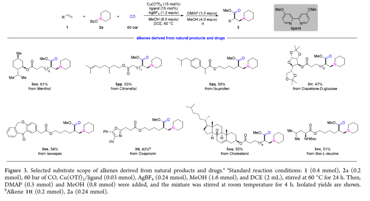 1742441881845532.png 圖片5.png