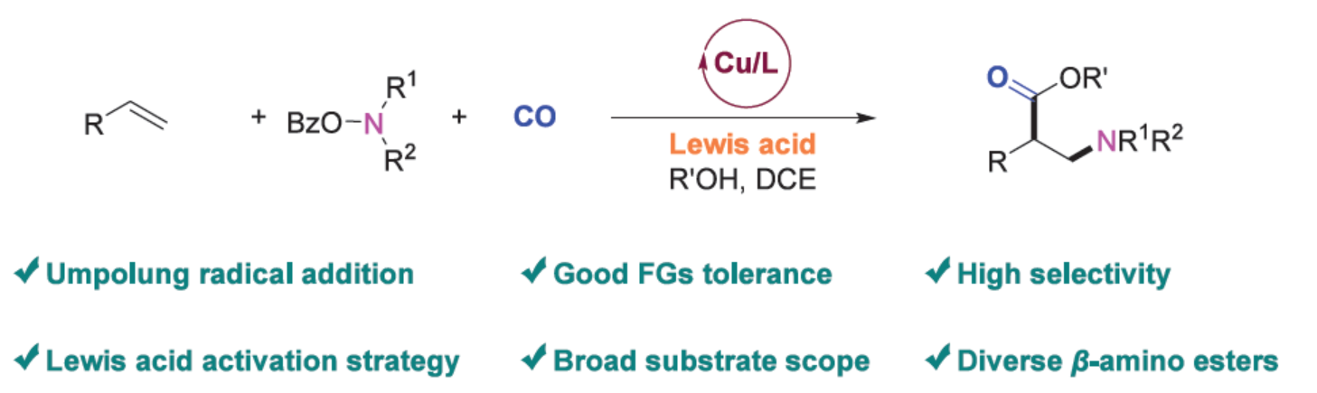 1742441901780311.png 圖片1.png