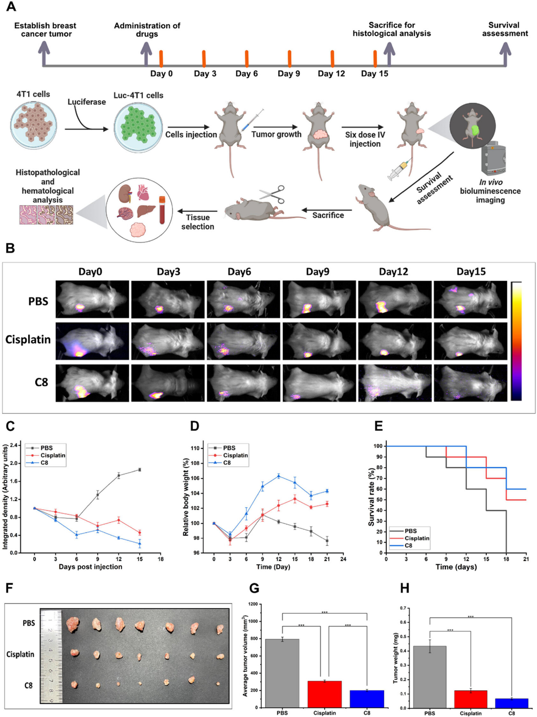 1742452247454396.png 圖片8.png