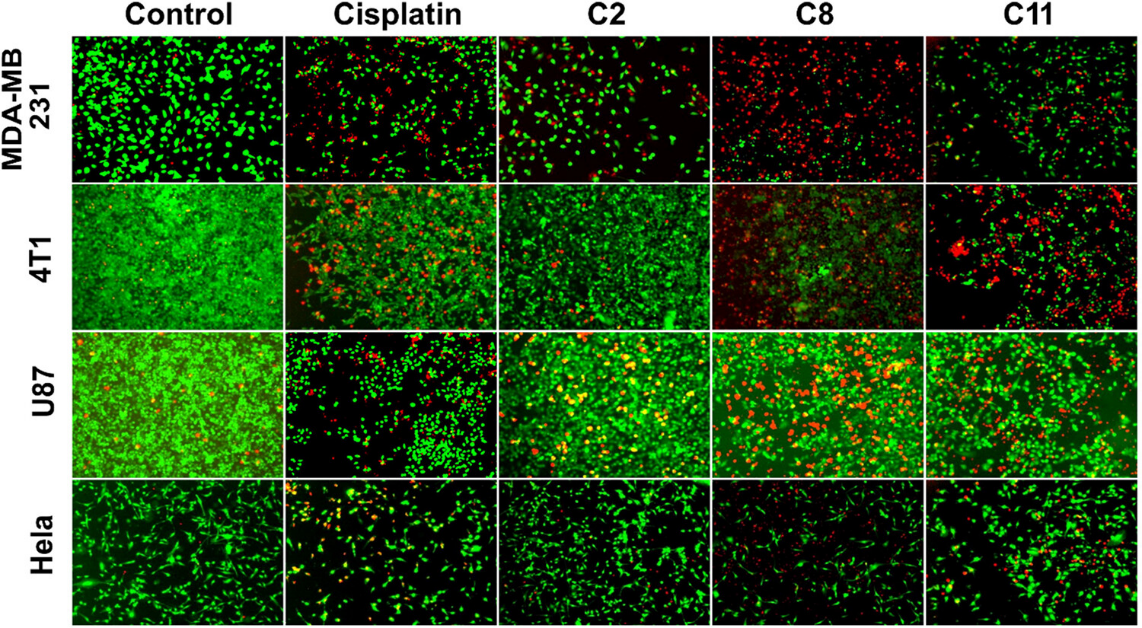 1742452258852753.png 圖片6.png