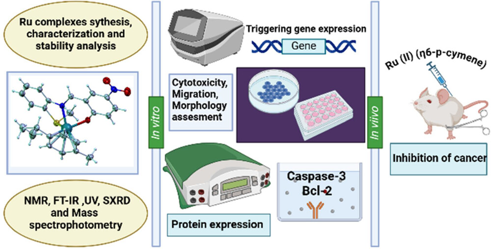 1742452279815322.png 圖片2.png